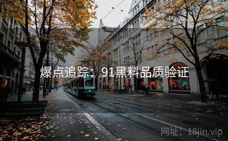 爆点追踪：91黑料品质验证