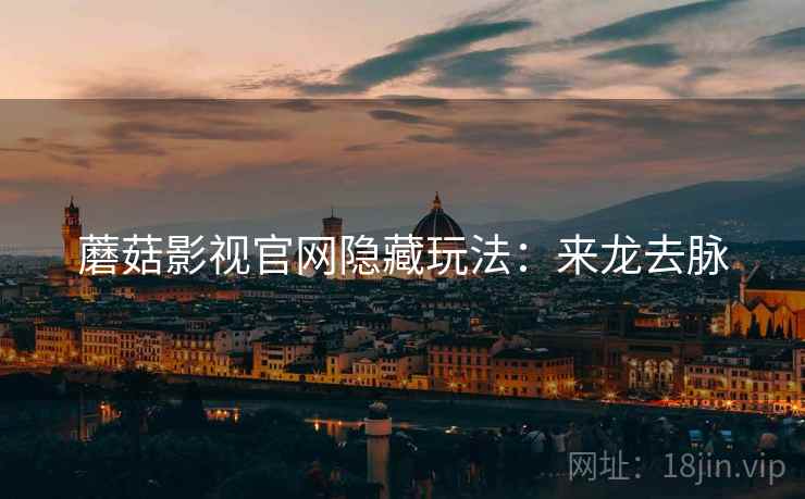 蘑菇影视官网隐藏玩法：来龙去脉