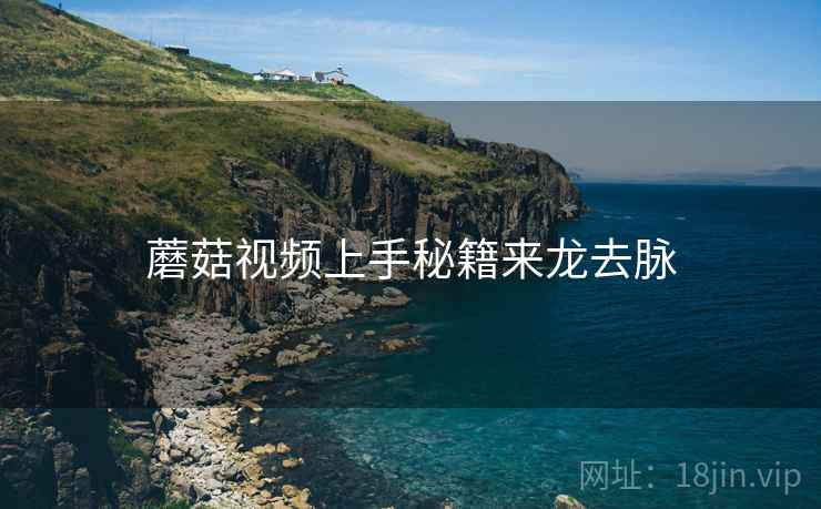 蘑菇视频上手秘籍来龙去脉