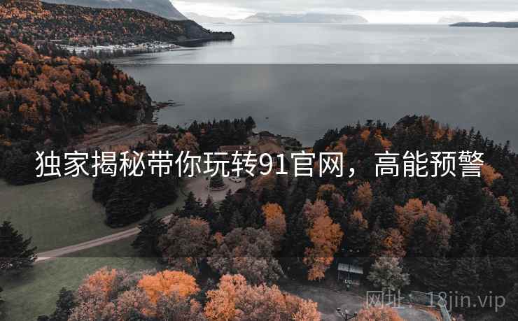 独家揭秘带你玩转91官网，高能预警