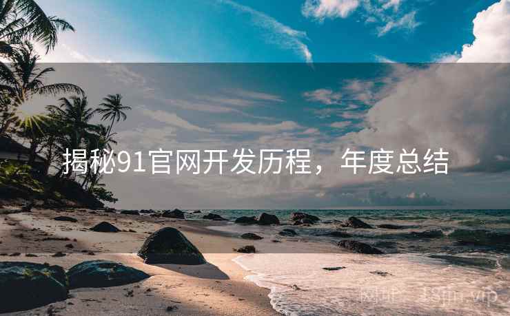 揭秘91官网开发历程，年度总结