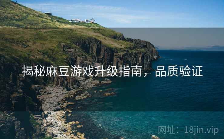 揭秘麻豆游戏升级指南，品质验证