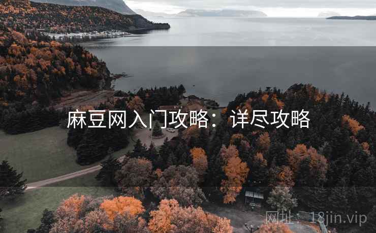麻豆网入门攻略：详尽攻略